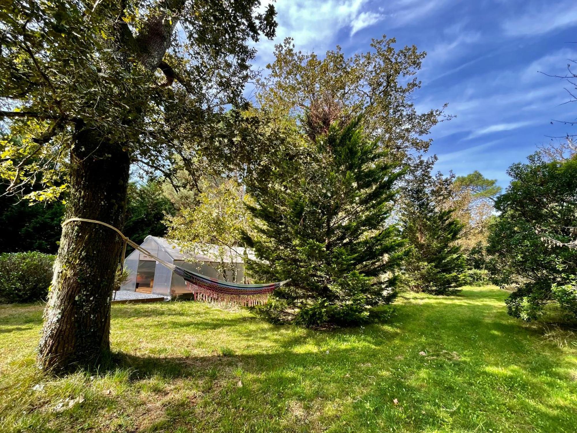 Cabane Au Milieu Des Pins - Domaine Temali Labouheyre Exteriér fotografie